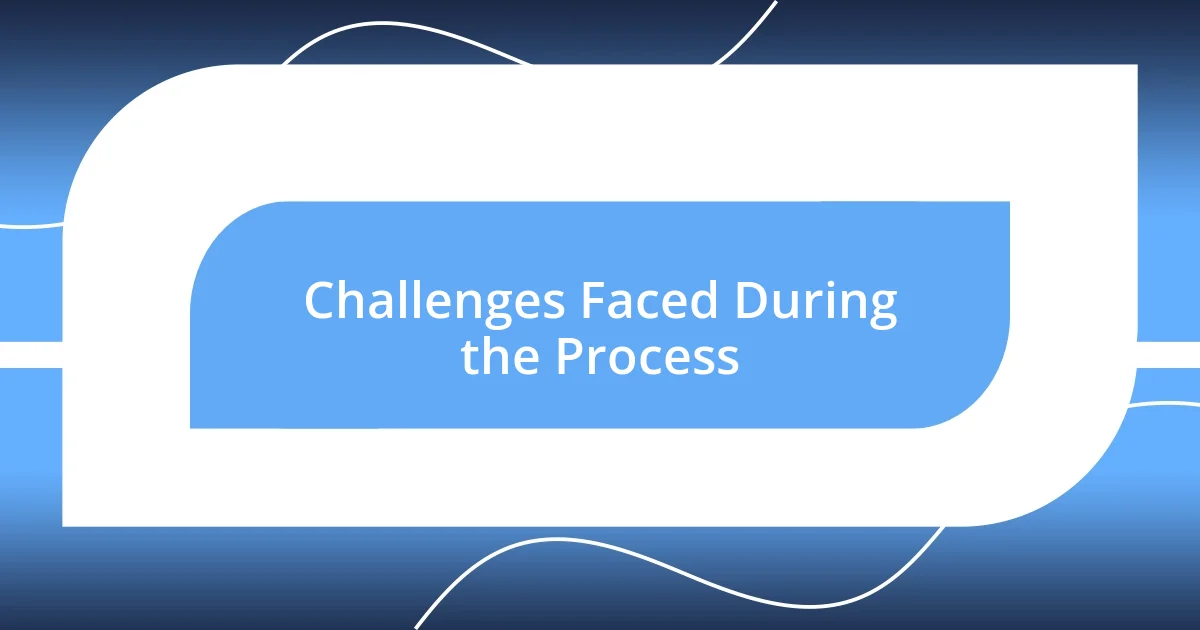 Challenges Faced During the Process